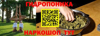 ALPHA PVP Гатчина